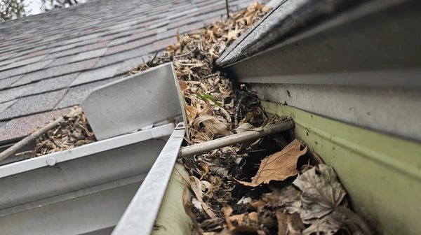 Central Coast Gutter Cleaning 