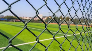Temporary Fences