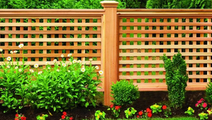 Lattice Fences