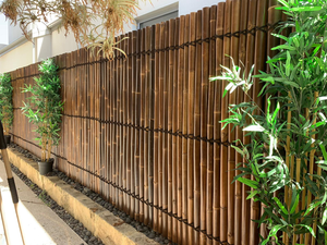 Bamboo Fences