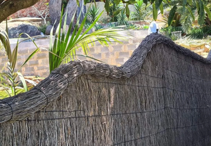 Brushwood Fences
